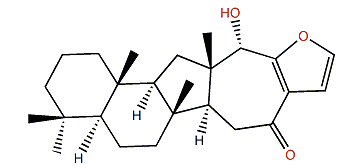 Hippospongide A